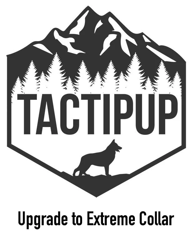 Extreme Collar Upgrade: What You Get