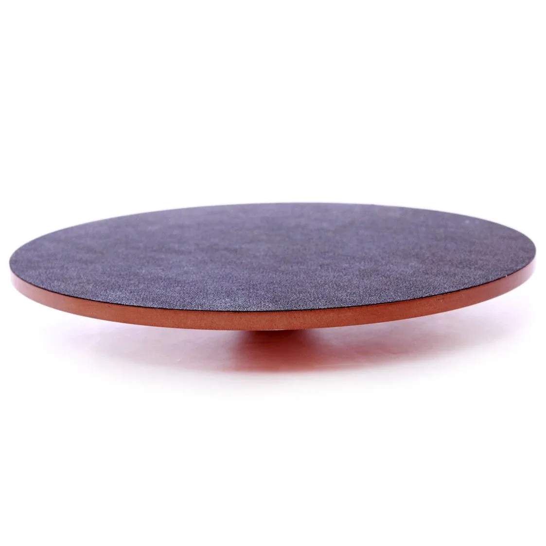 FitPAWS Wobble Board