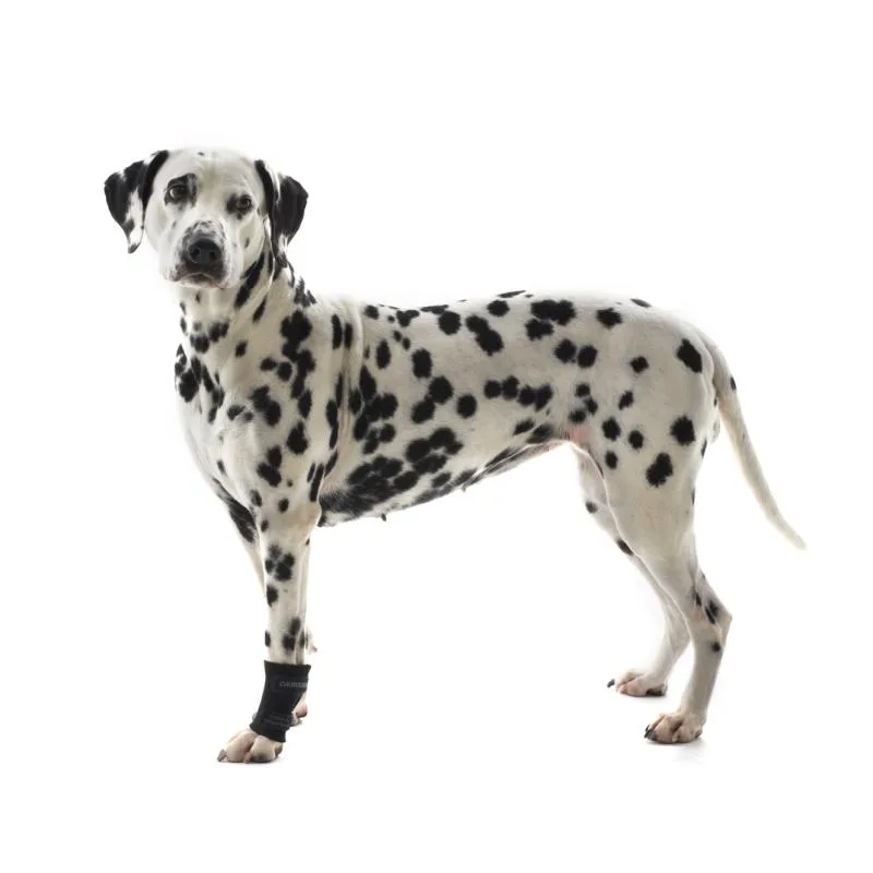 Como colocar a proteção do carpo KRUUSE Rehab num cão