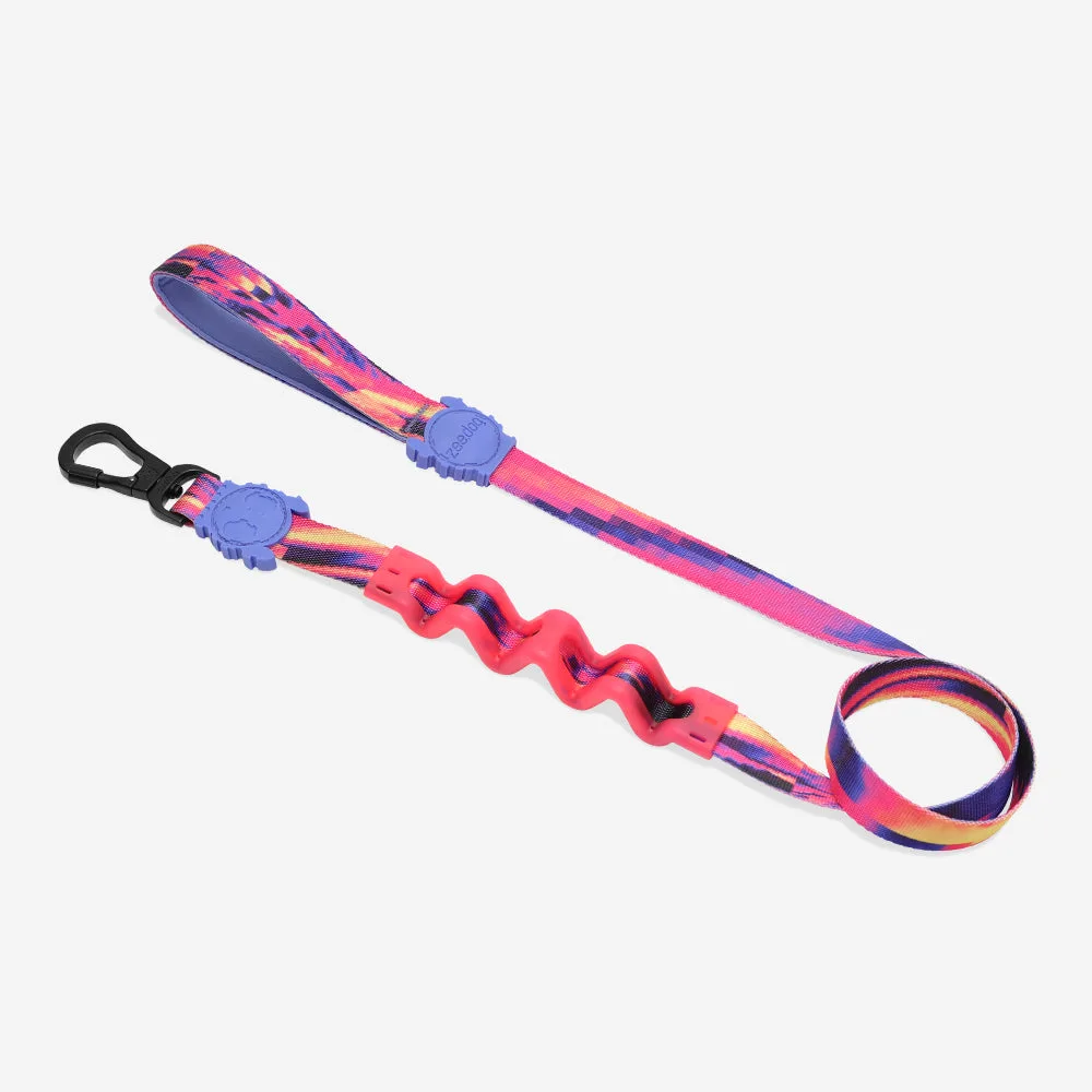 Error #500 | Ruff Leash