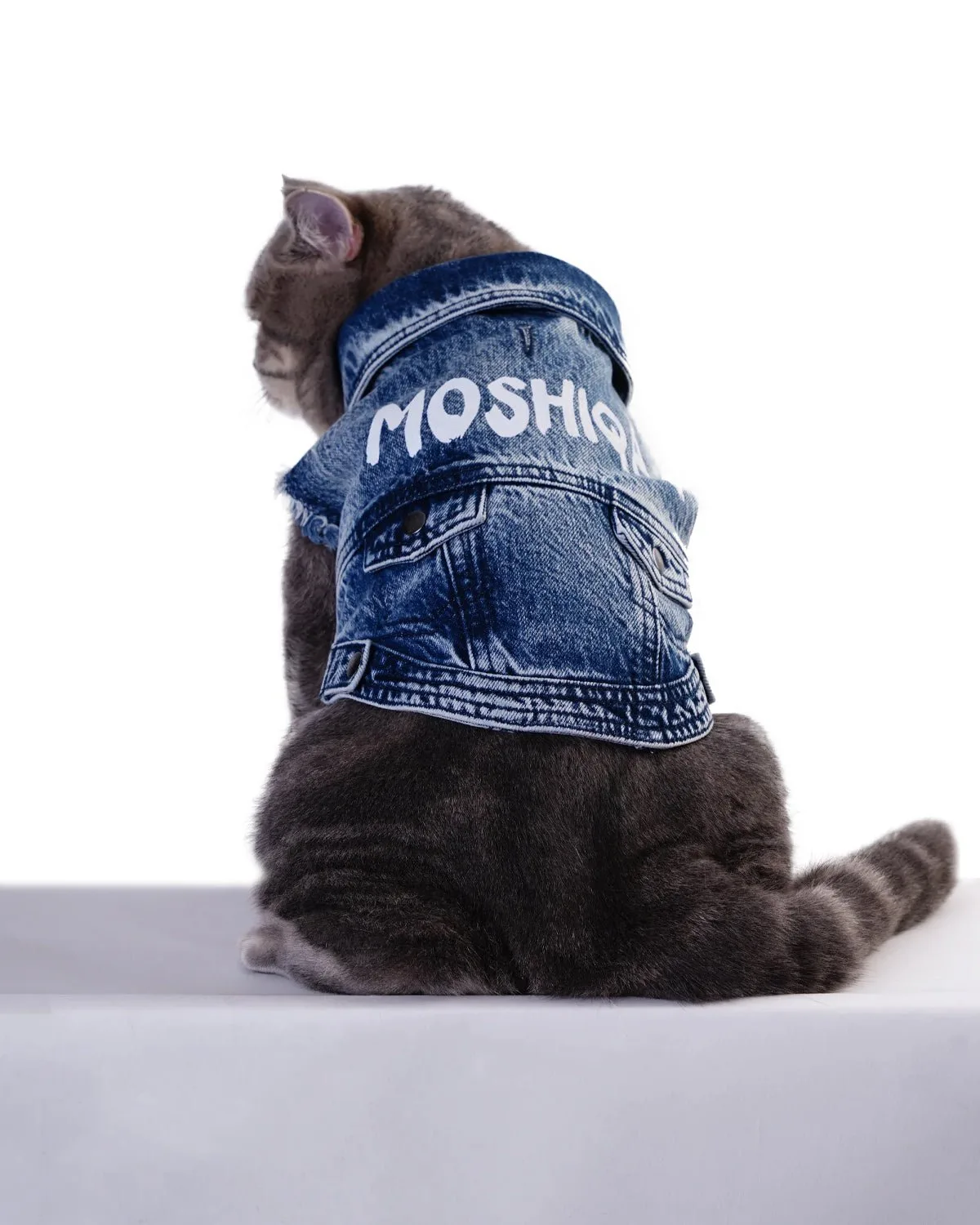 Moshiqa Dog Harness vs Dog Leash: Which Combination Offers the Best Control and Style for Walks?