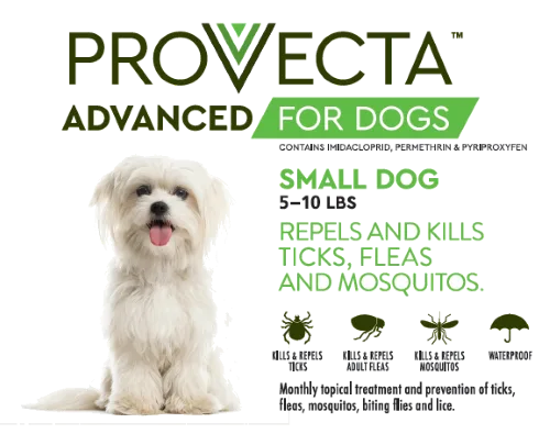 Provecta Advanced vs. Revolution Plus für Katzen: Hauptunterschiede
