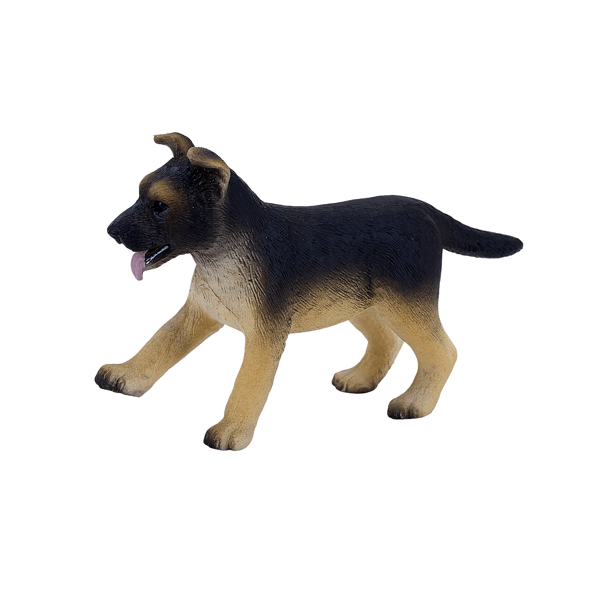 Deutscher Schäferhund Welpe