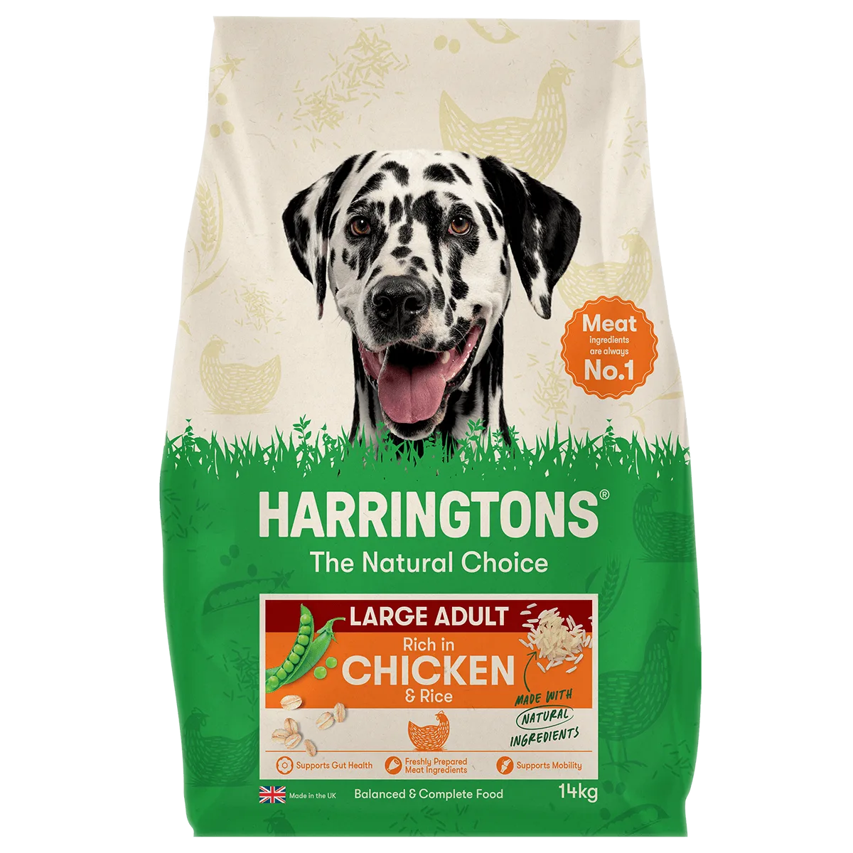What to Look for in Dry Dog Food for Large Breeds