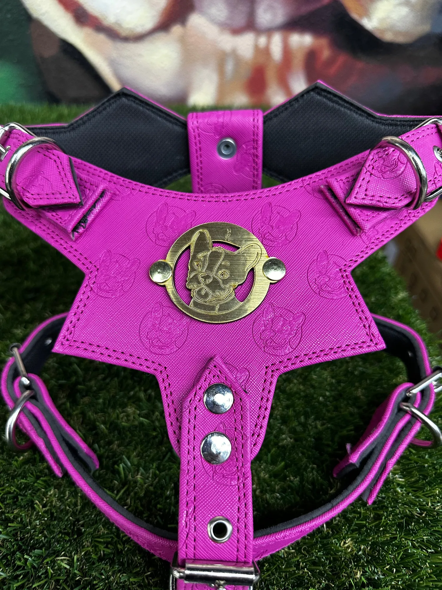 Pettorina Top per Cane Viola