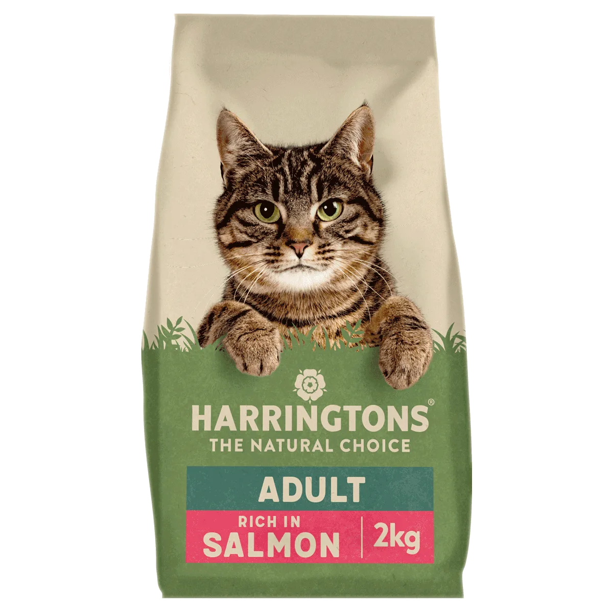 Complete Adult Salmon Dry Cat Food 2kg