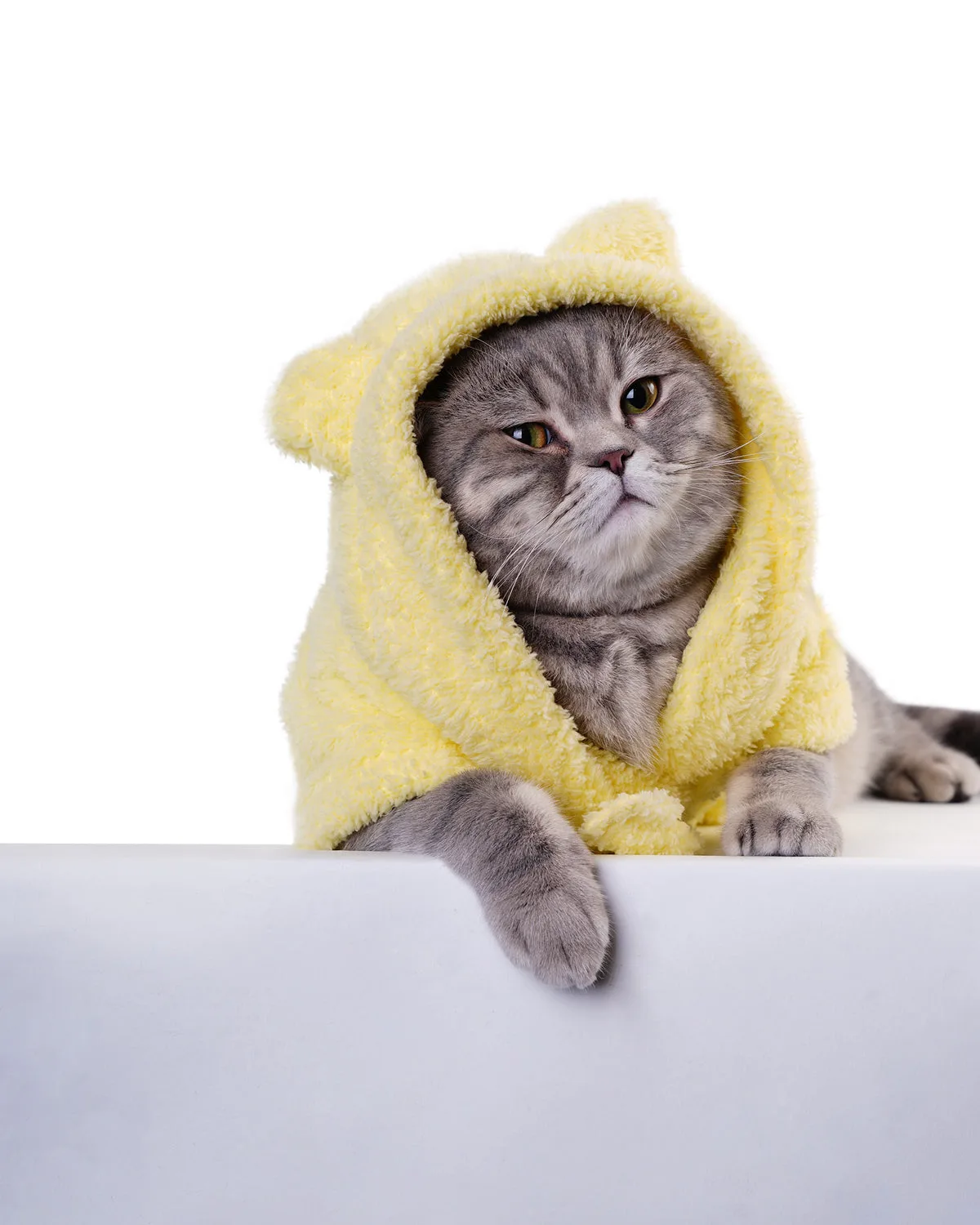 Baby Chick Cat Bathrobe