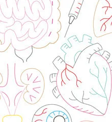 VITAL ORGANS Iron-on Embroidery Patterns