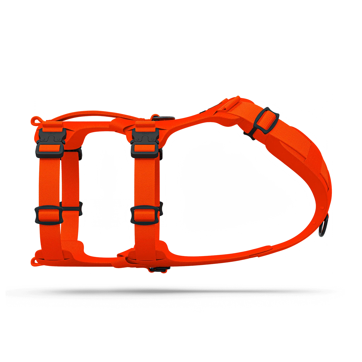Muse™ harness