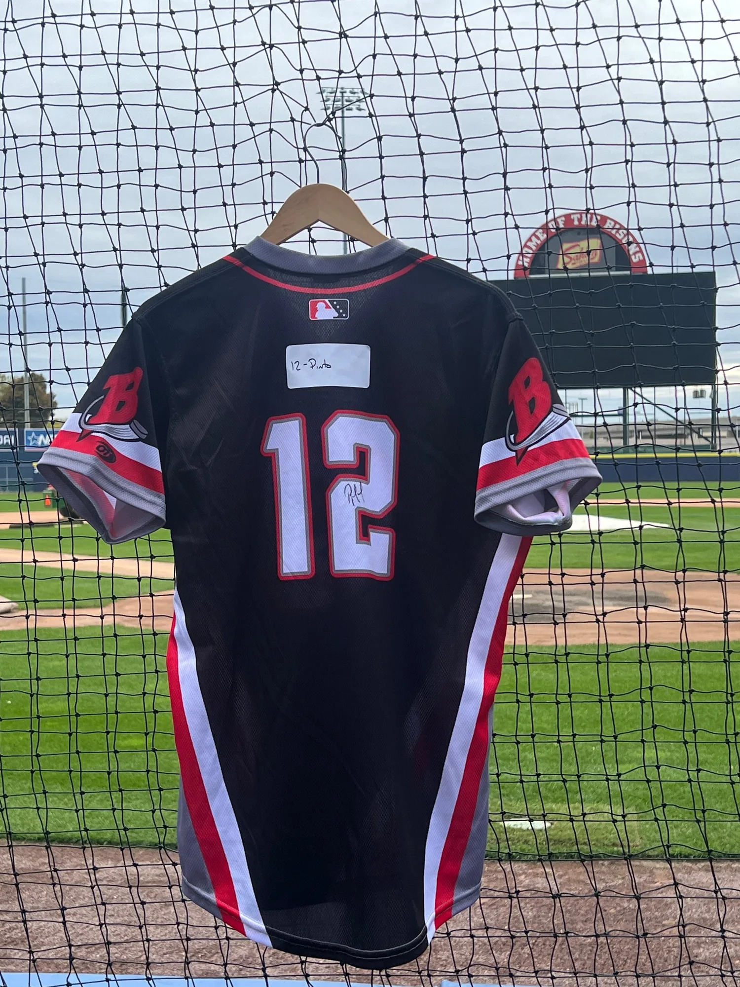 How to Choose the Right Buffalo Bisons Jersey