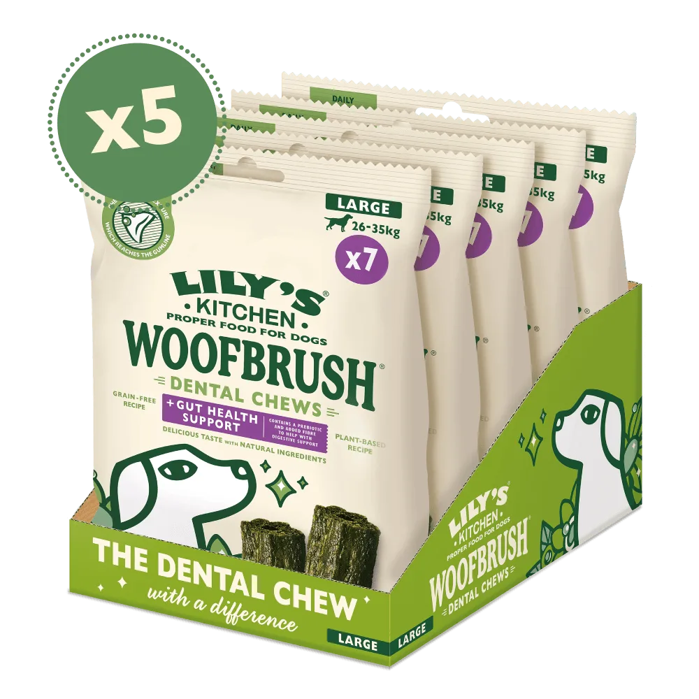 Best Organic Dog Treats: A Guide to PETLIBRO Organic Bedtime Biscuits and More