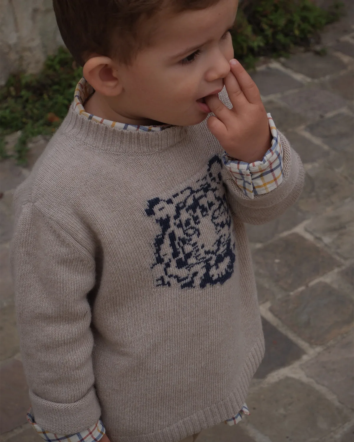 Pull bébé épaules boutonnées beige clair tigre outremer
