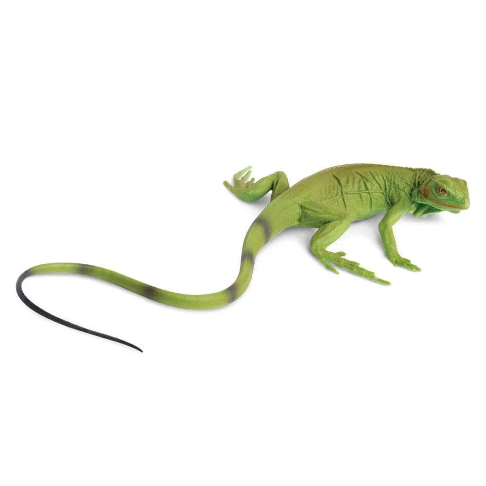 Jouet bébé iguane
