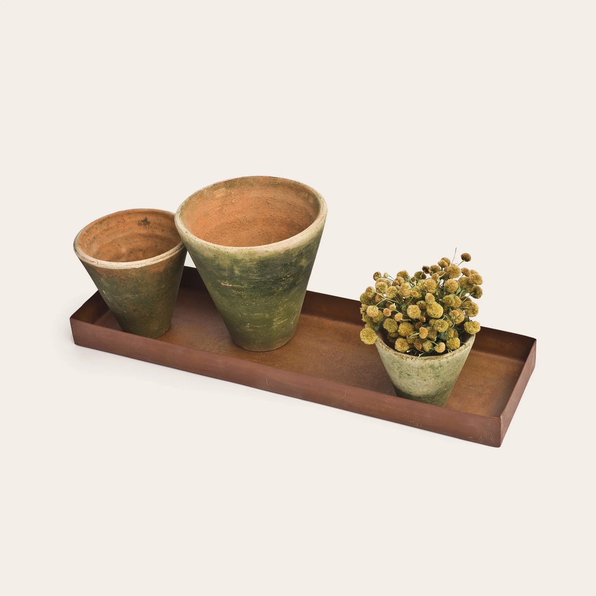 How to Style a Rectangular Planter Tray: Modern Ideas for Indoor and Outdoor Spaces