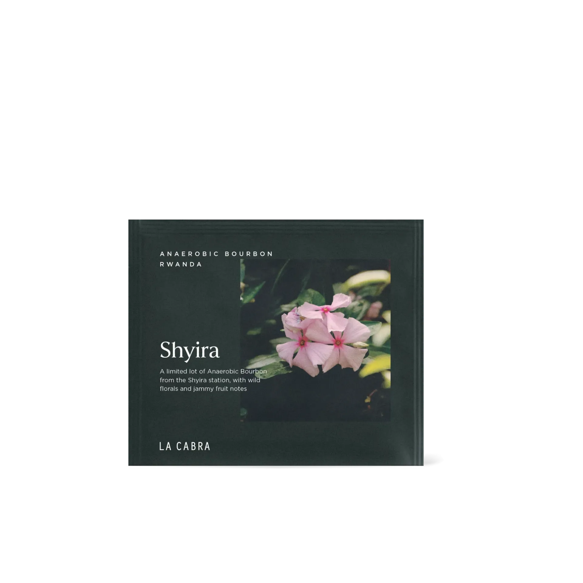 Shyira Anaerobic 48hr - Single Serve