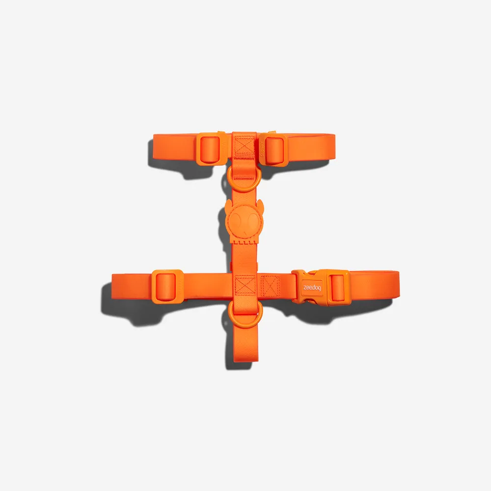 Neopro Tangerine Dog Collar Review: Durable, Waterproof, and Stylish