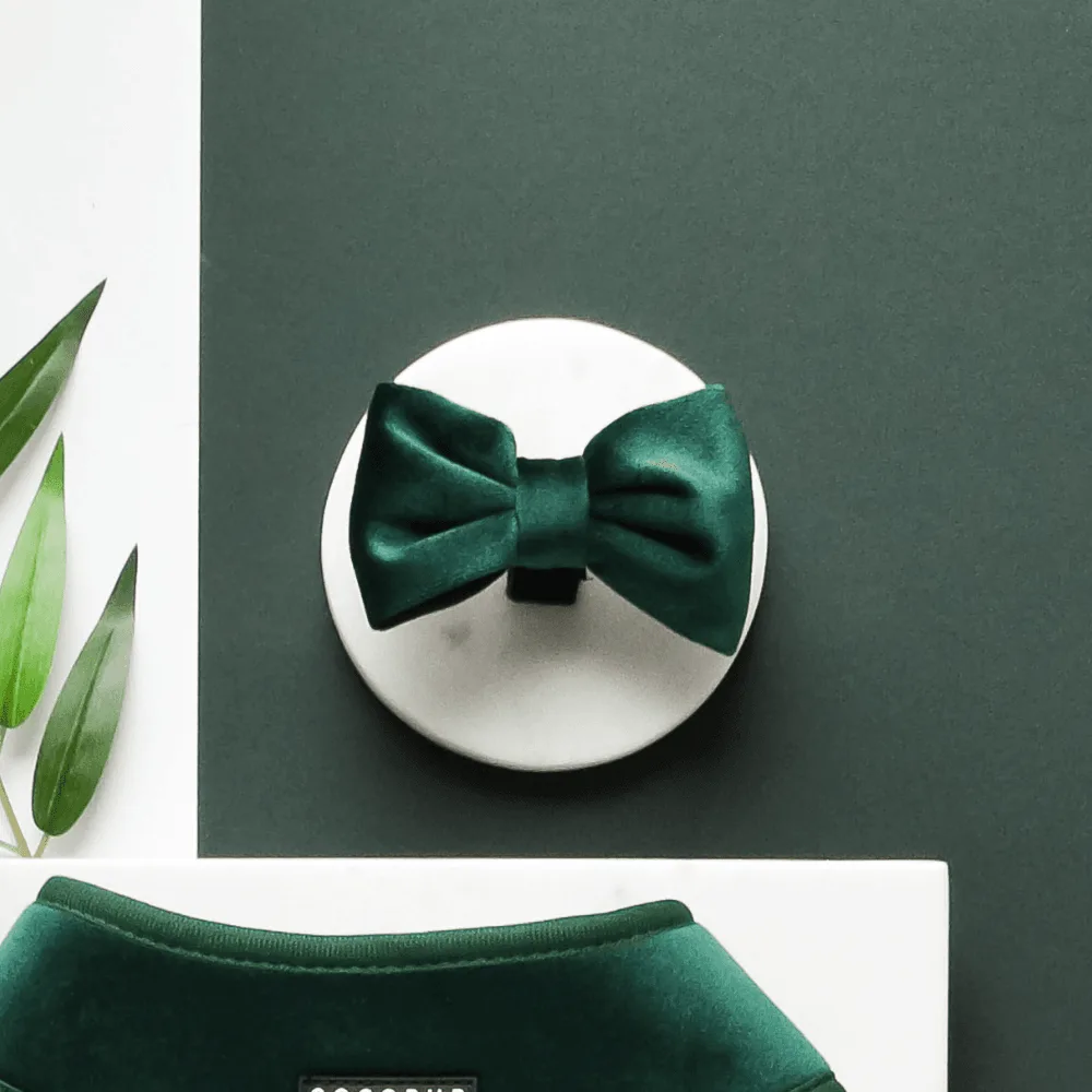 Velvet Bow Tie - Forest Green