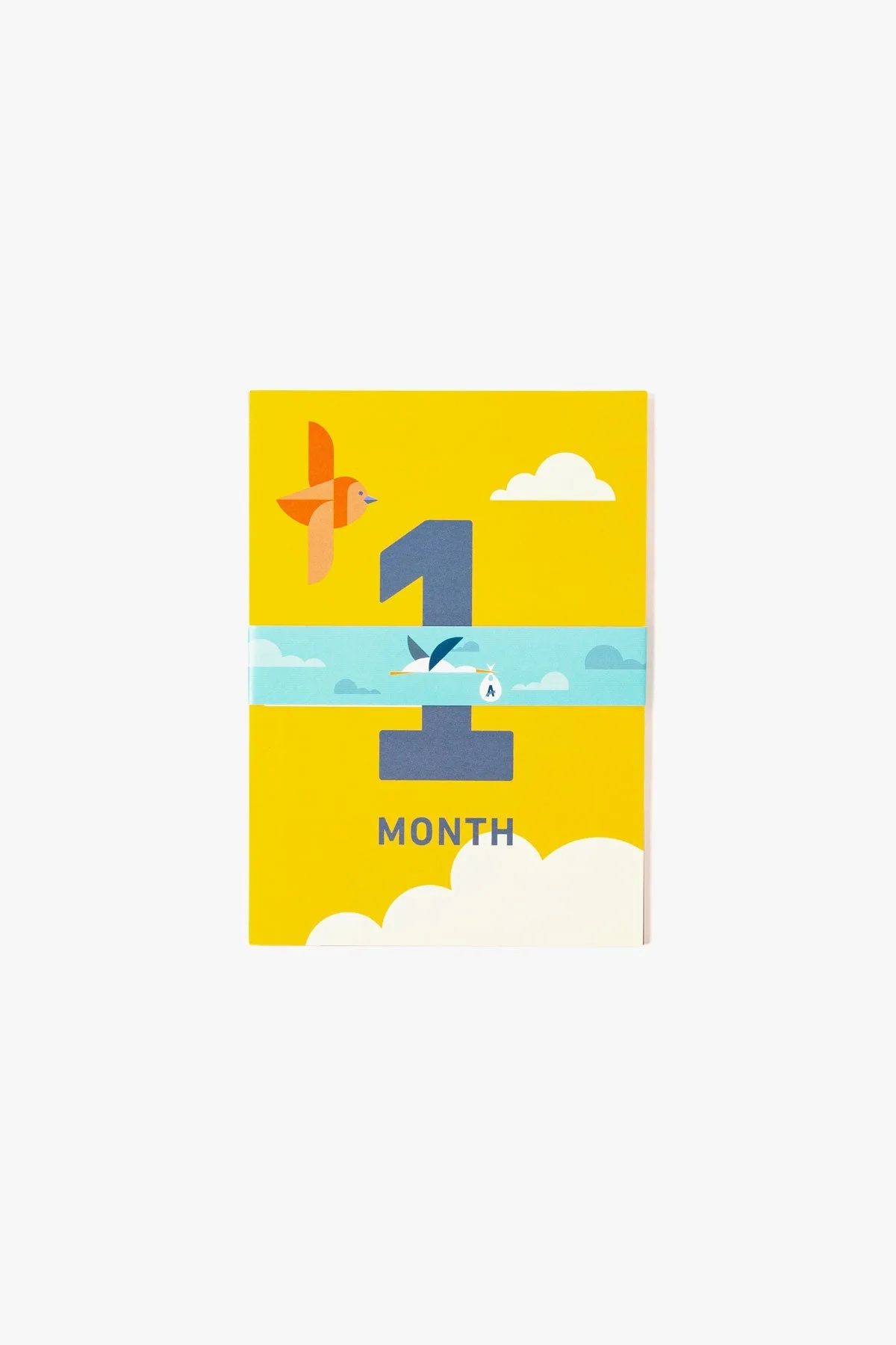 Baby Milestone Cards (12 Months)