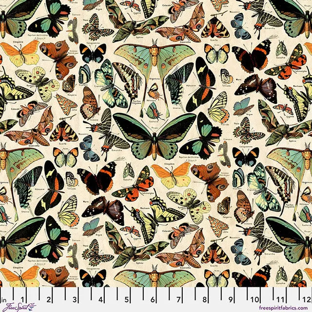 Lienzo mariposas verde azulado - Palette Canvas Cloth