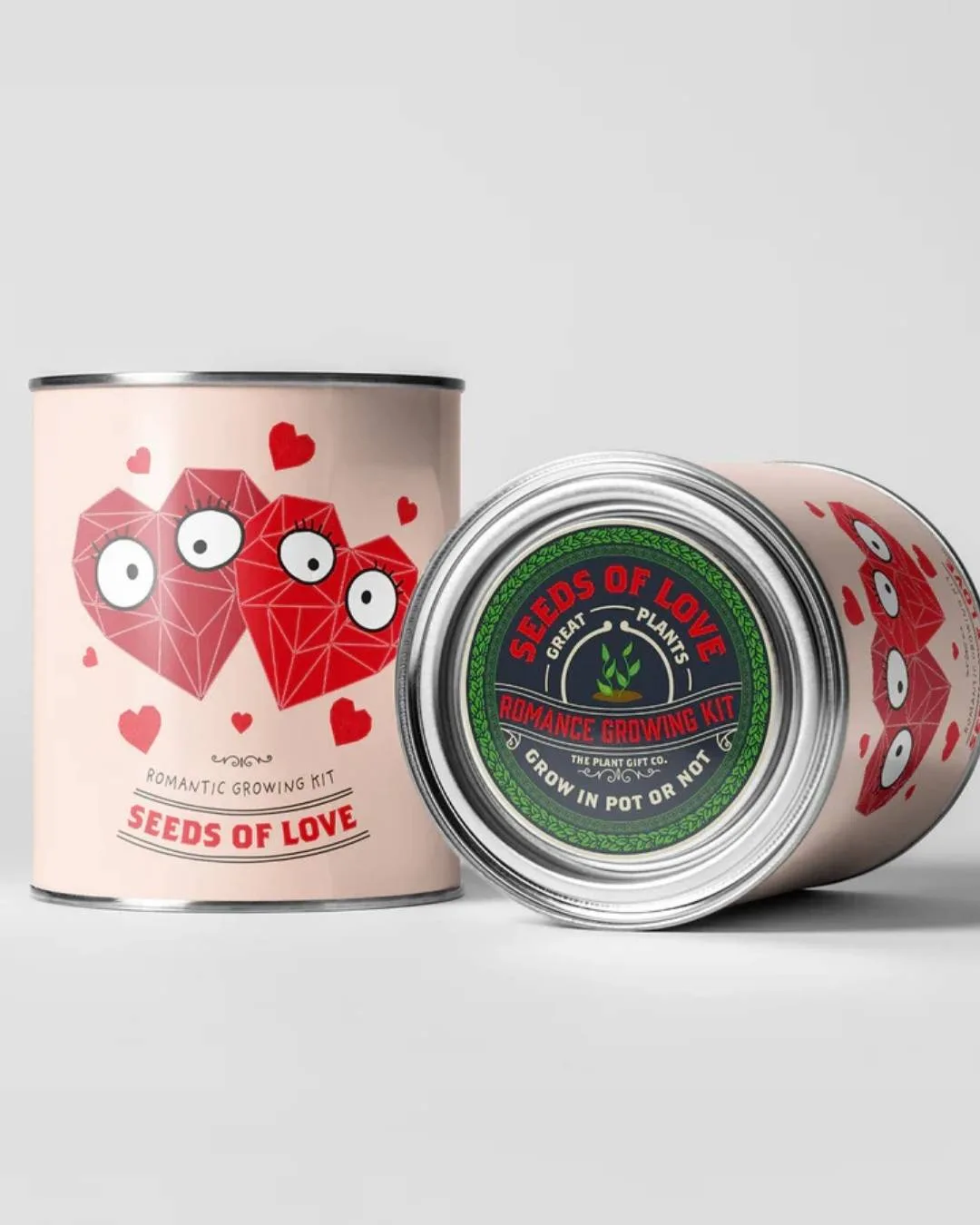 Cómo plantar tu kit de cultivo de flores Grow Your Own