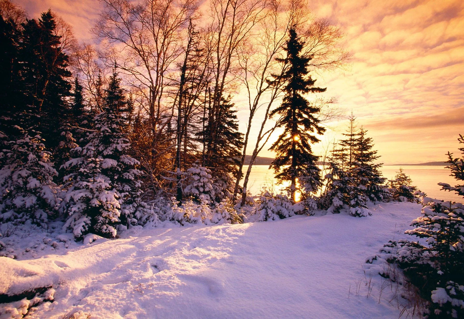 Winter Dawn Review: A Celestial Ethereal Sky Print by Peter Lik
