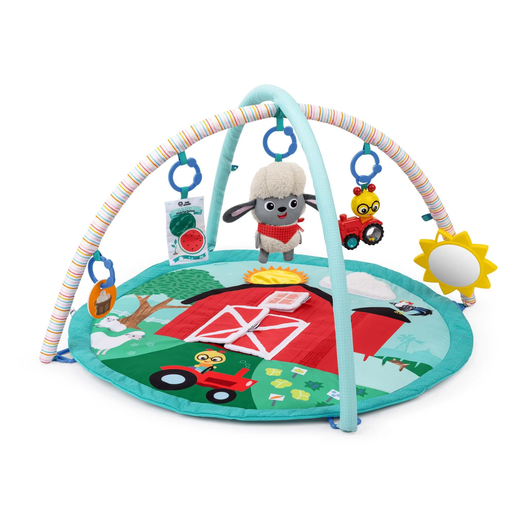 Baby Einstein Touch & Feel Gym: คุ้มค่าสำหรับทารกแรกเกิดหรือไม่?