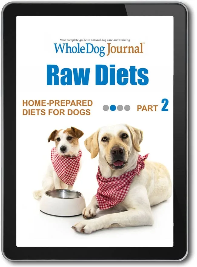 Home-Prepared Diets for Dogs, Part Two: Raw Diets