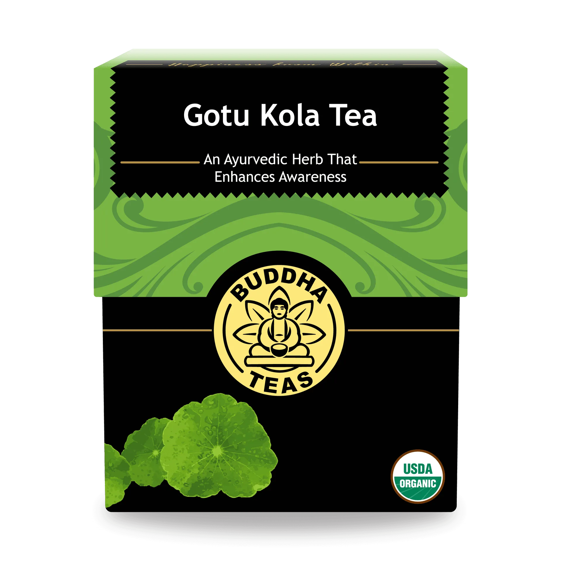 Trà Gotu Kola: Lợi ích nhận thức & Hướng dẫn pha
