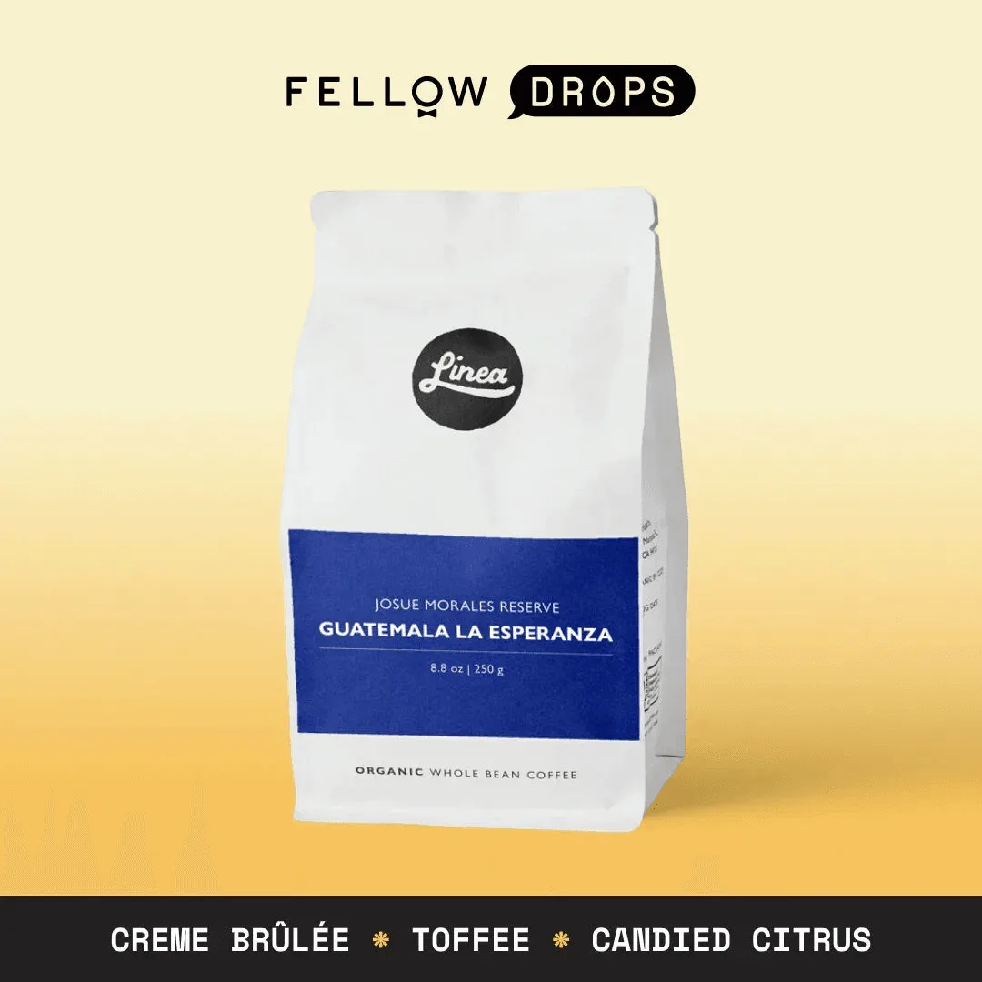 Single-Origin vs. Blend Coffee for Espresso: Which Grind Setting Works Best?