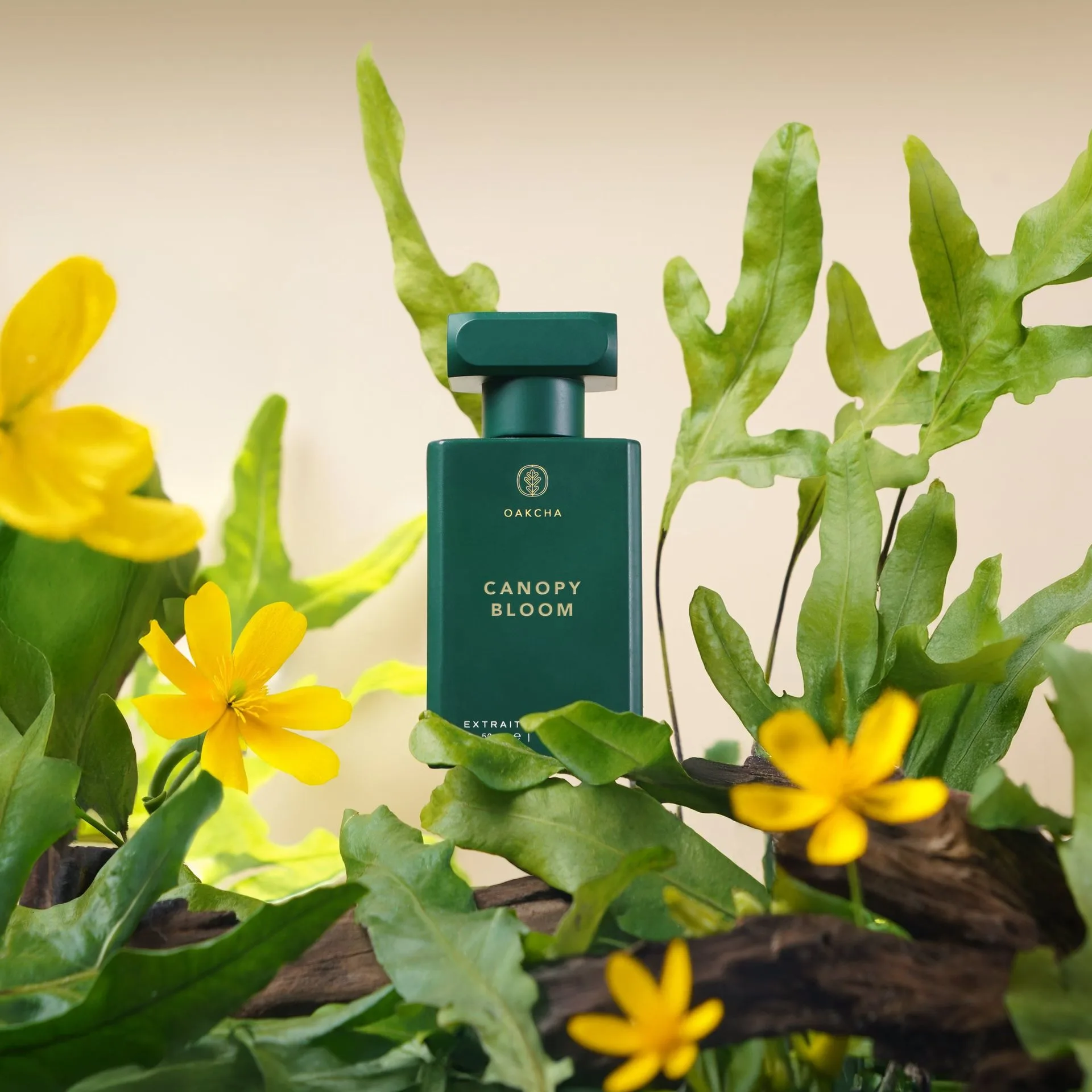 Canopy Bloom vs Heavens Speak: Pojedynek perfum kwiatowych