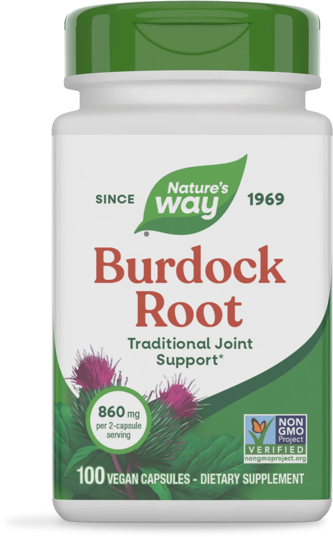 Burdock Root