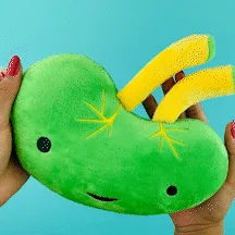 Spleen Plush - Lymphin' The Dream - Plush Organ Stuffed Toy Pillow