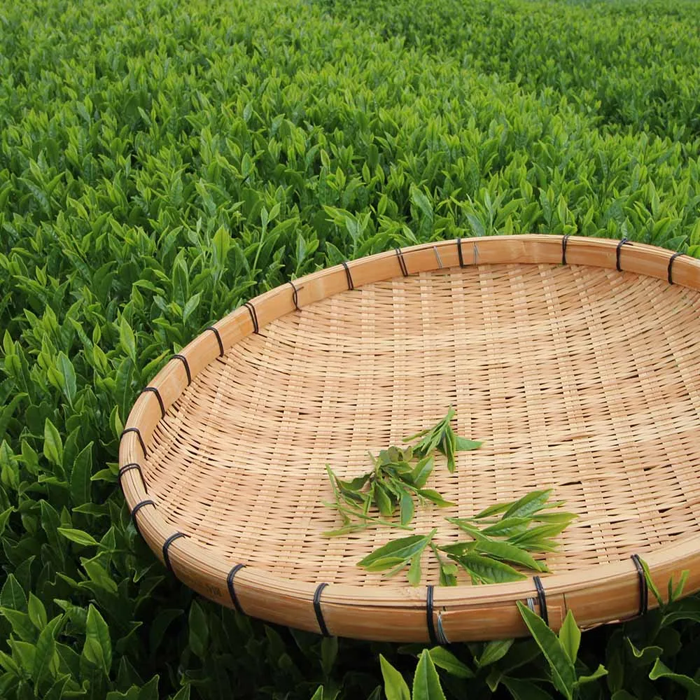 Japanese Yuzu Genmaicha