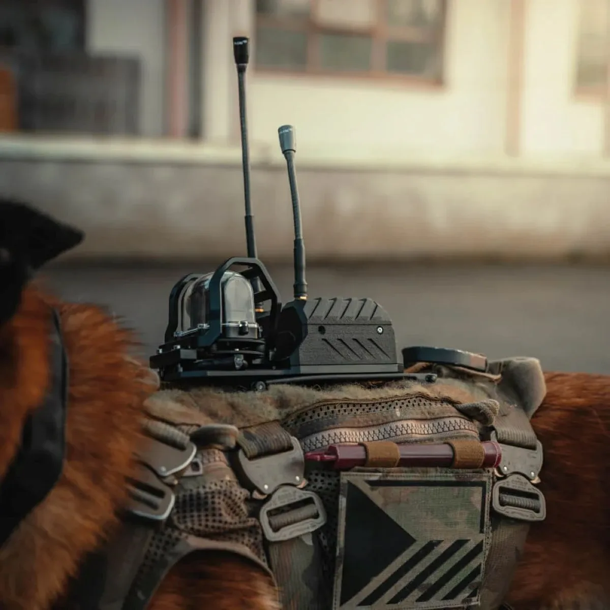 DarkMesh K9 Camera vs Body Cameras: What Handlers Need to Know