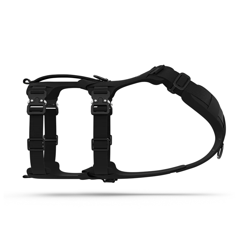 Lander™ harness
