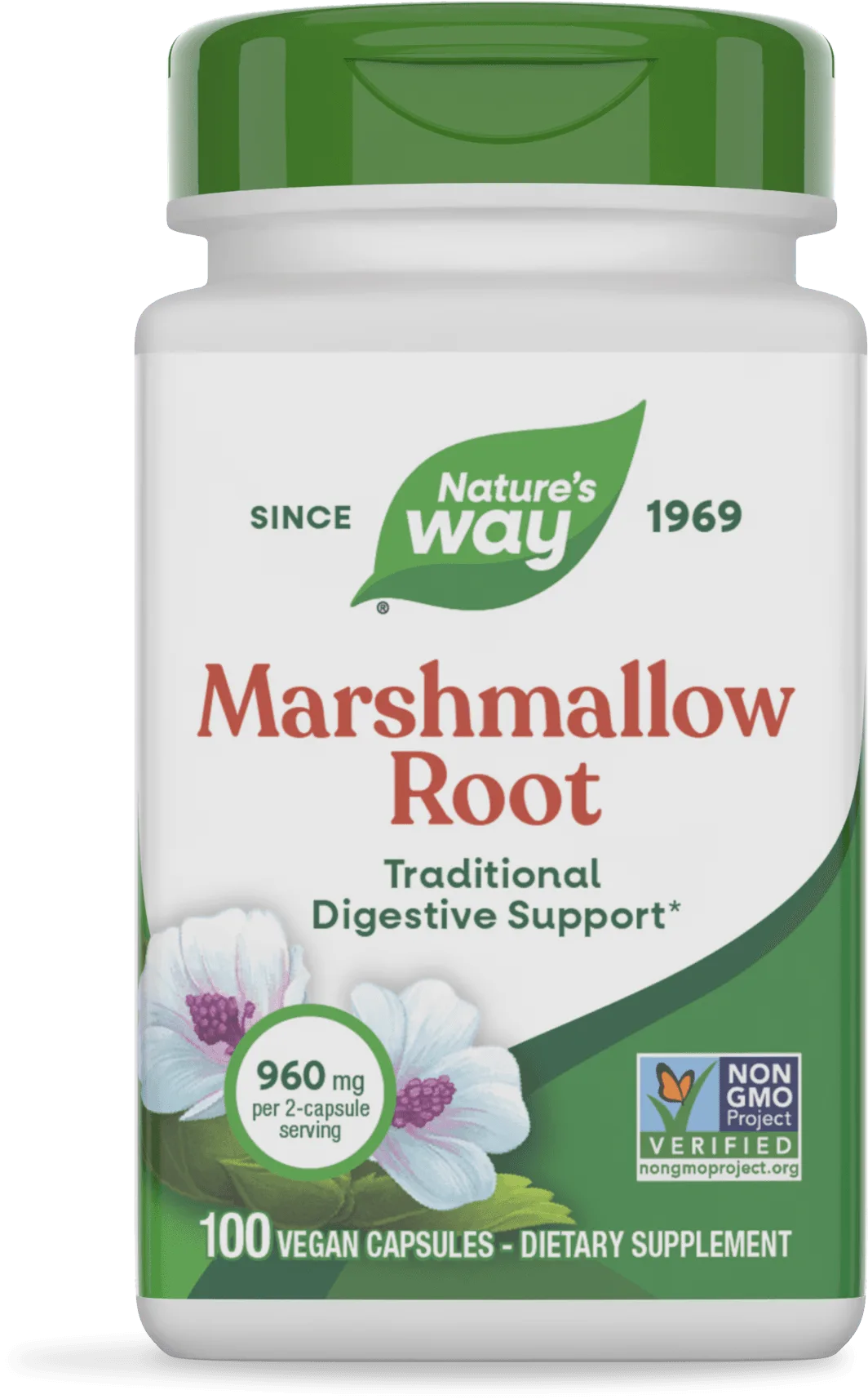 Ivy Extract From English Ivy: A Natural Option for Respiratory Support