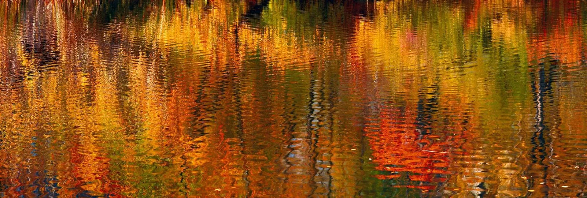 Showcasing Fine Art in Natural Light: Optimal Print Positioning