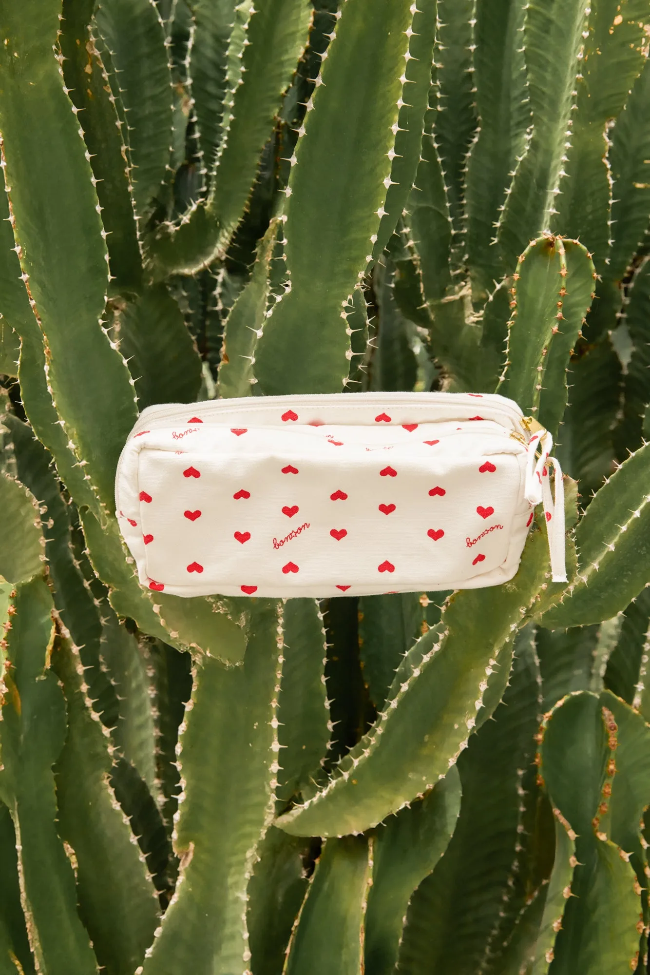 Trousse - Cœurs rouges