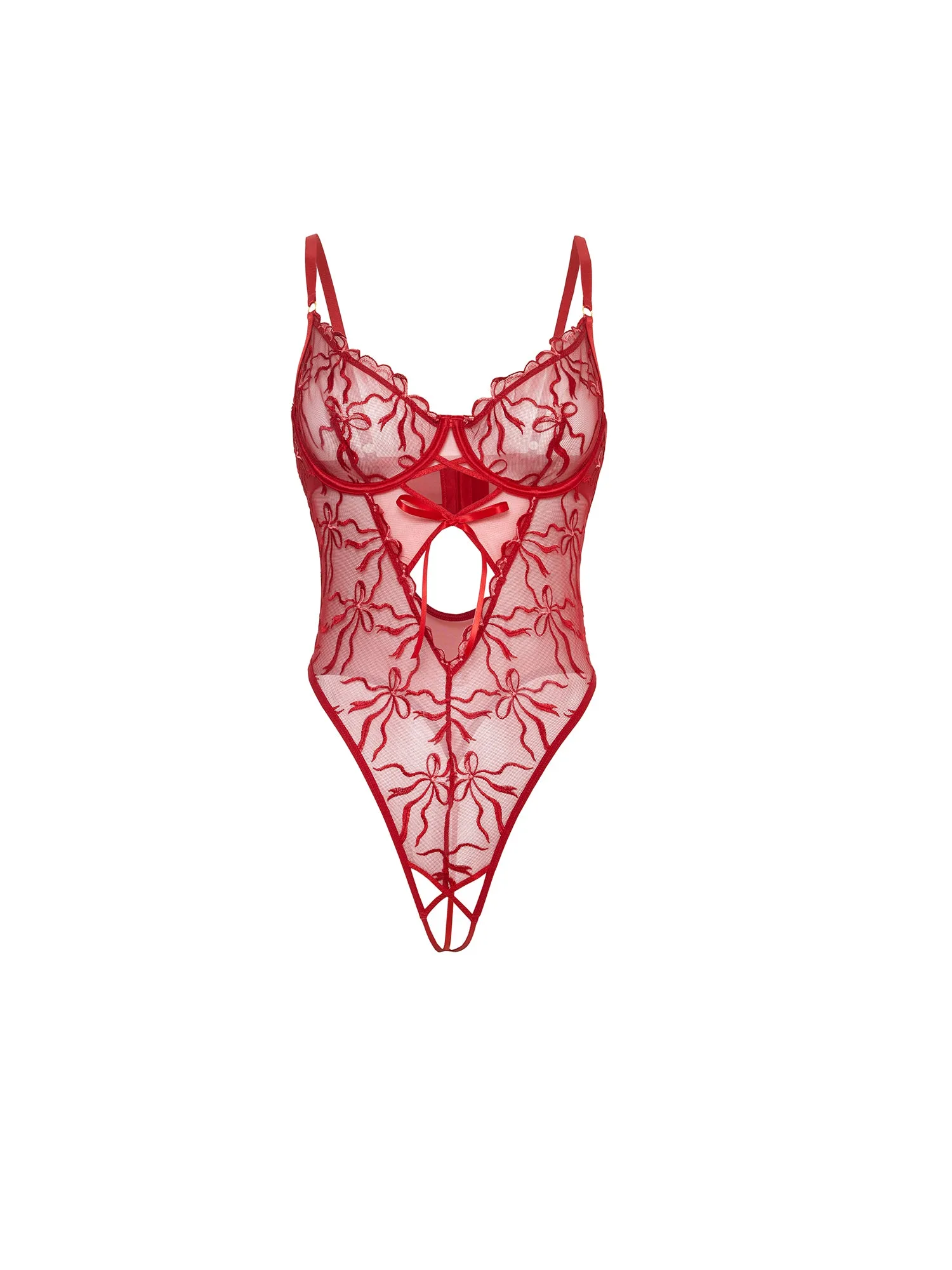 Mariah Sheer Embroidered Teddy