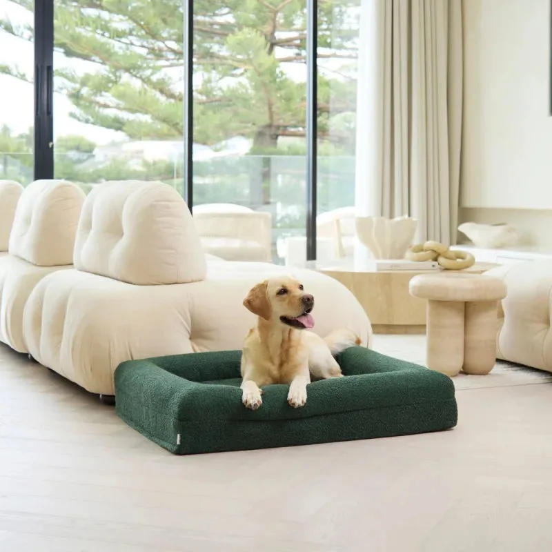 Memory foam hondenbed - Bouclé bosgroen