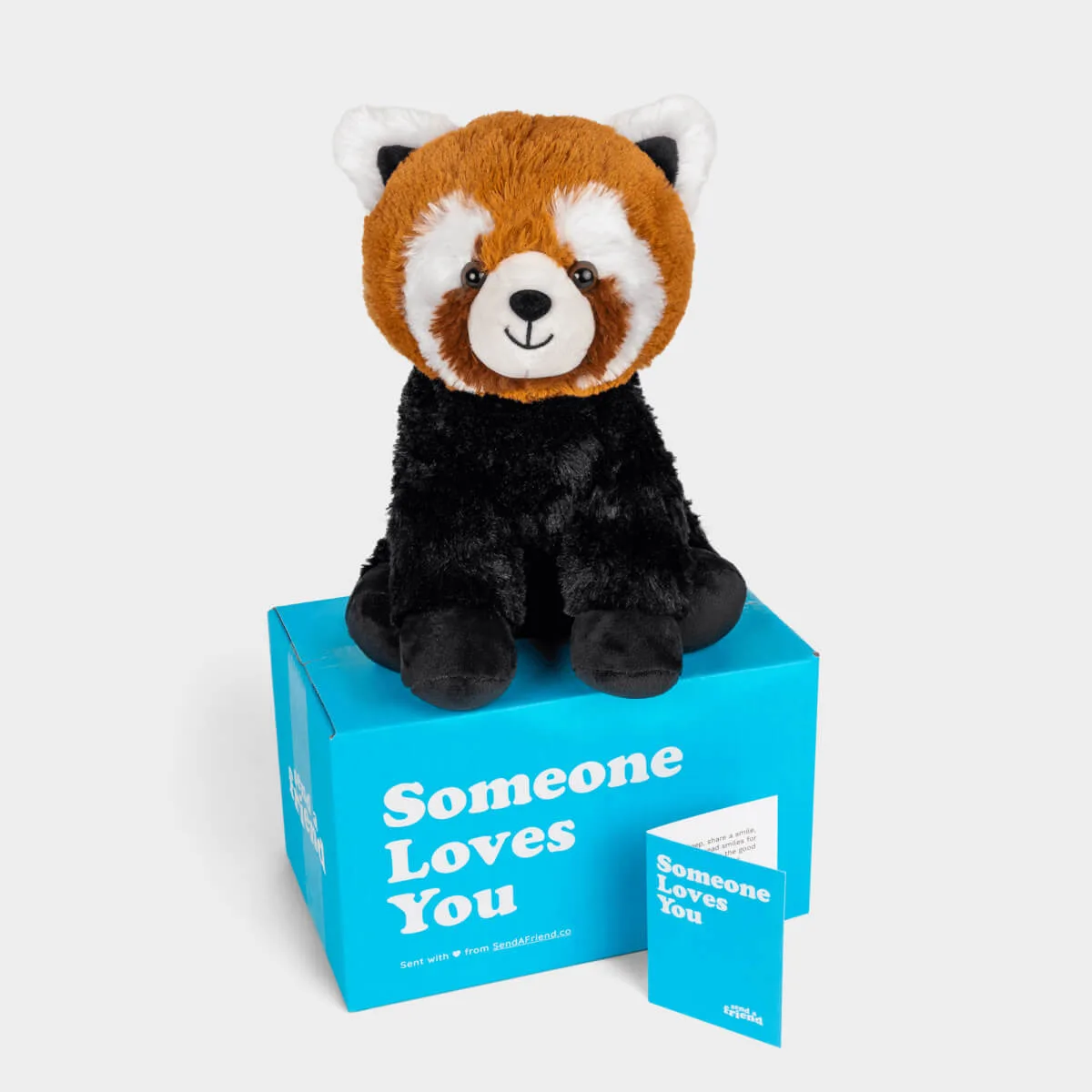 The Rise of Collectible Plush Characters: Why Fans Are Obsessed