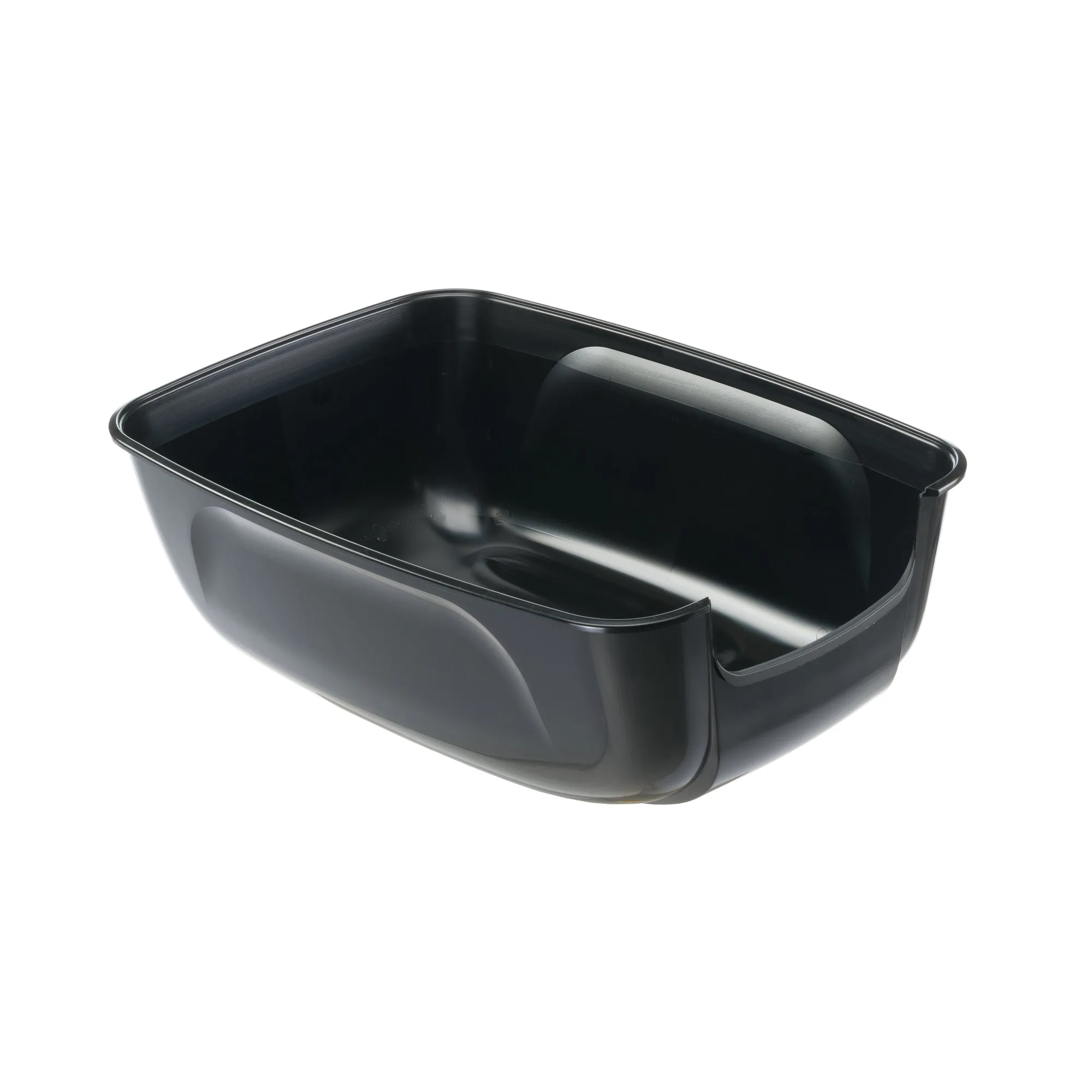 Cat Litter Tray Size Guide for Large Cats