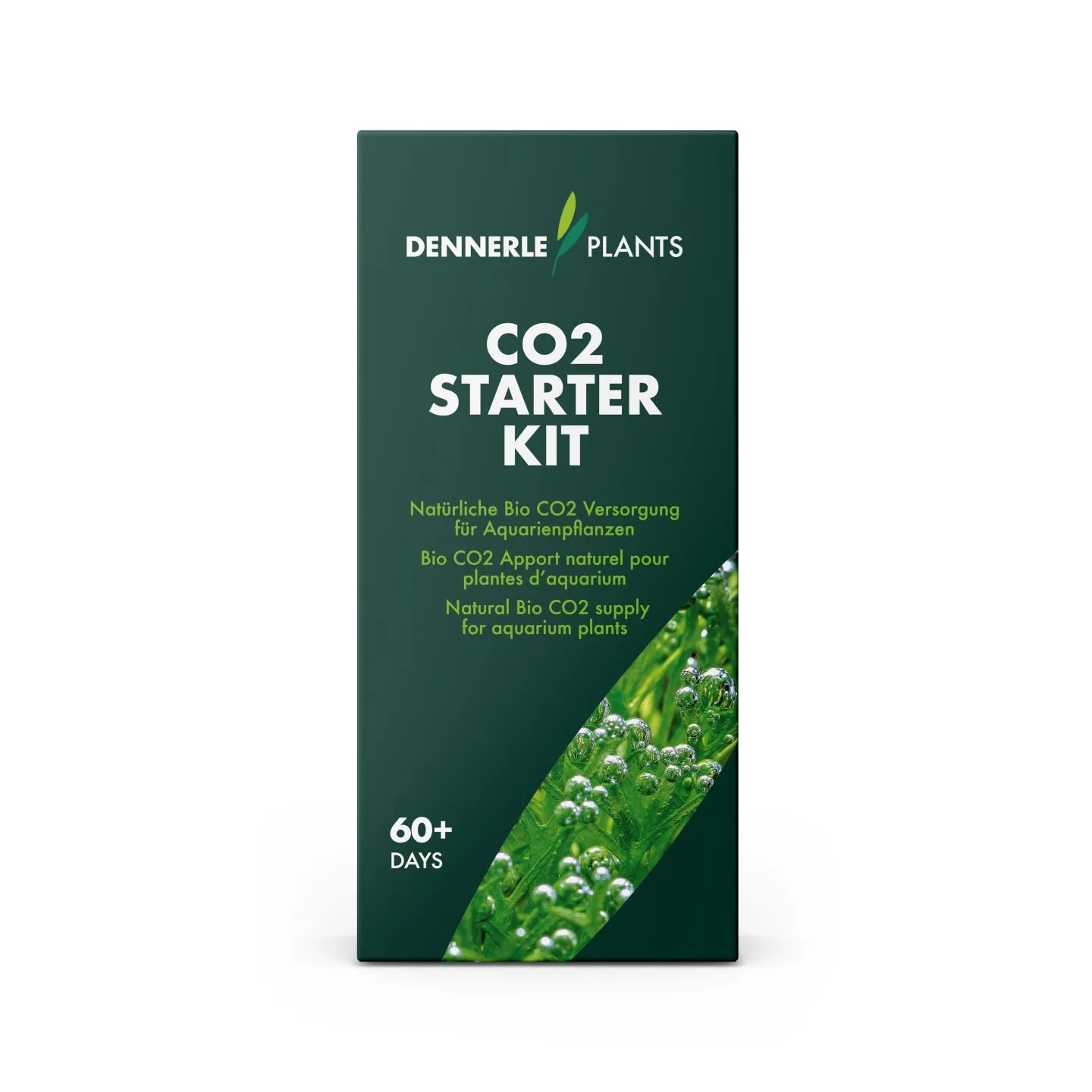 Setting Up a CO2 Starter Kit for Planted Tanks