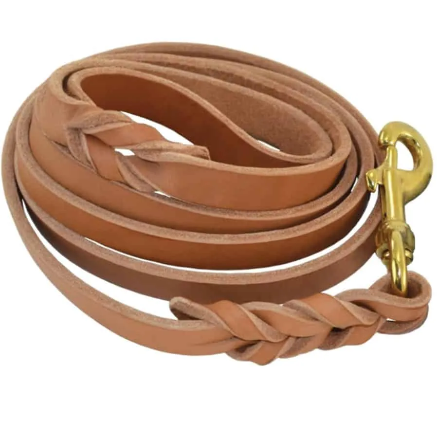 Twisted Latigo Leather Dog Leash Brown