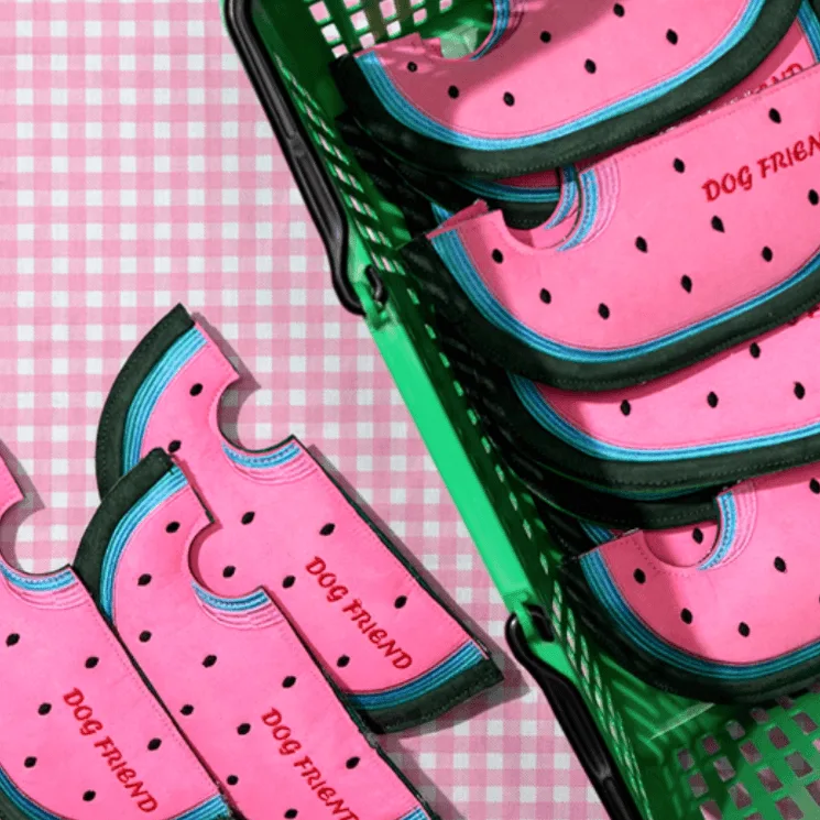 Watermelon Squeaky Frisbee for Dog