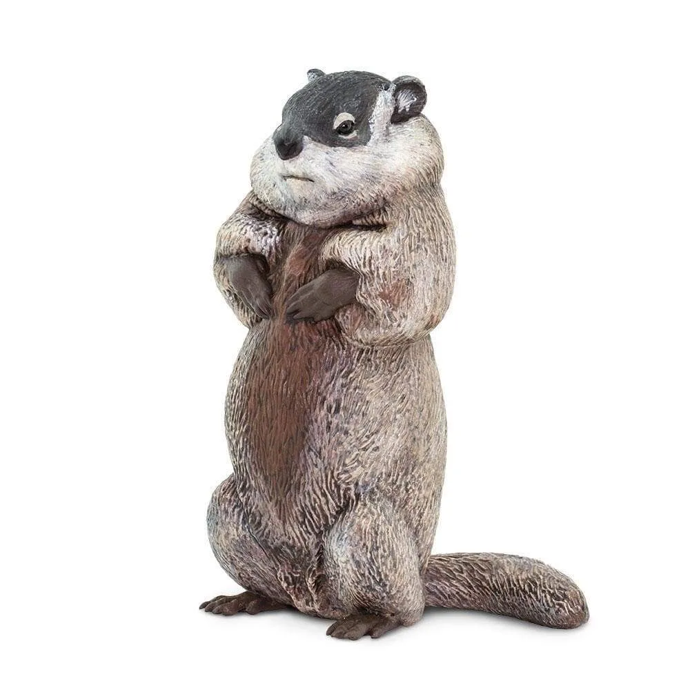 Groundhog Toy