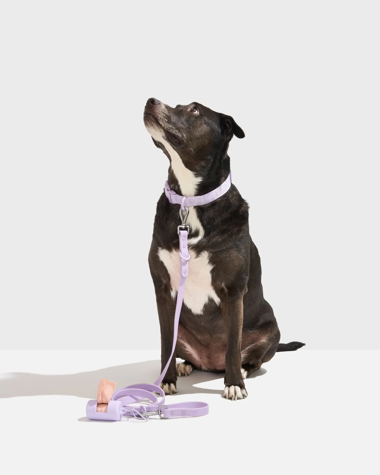 Step-In Harness vs. Cushioned Harness: Which Dog Harness Is Right for Your Pup?
