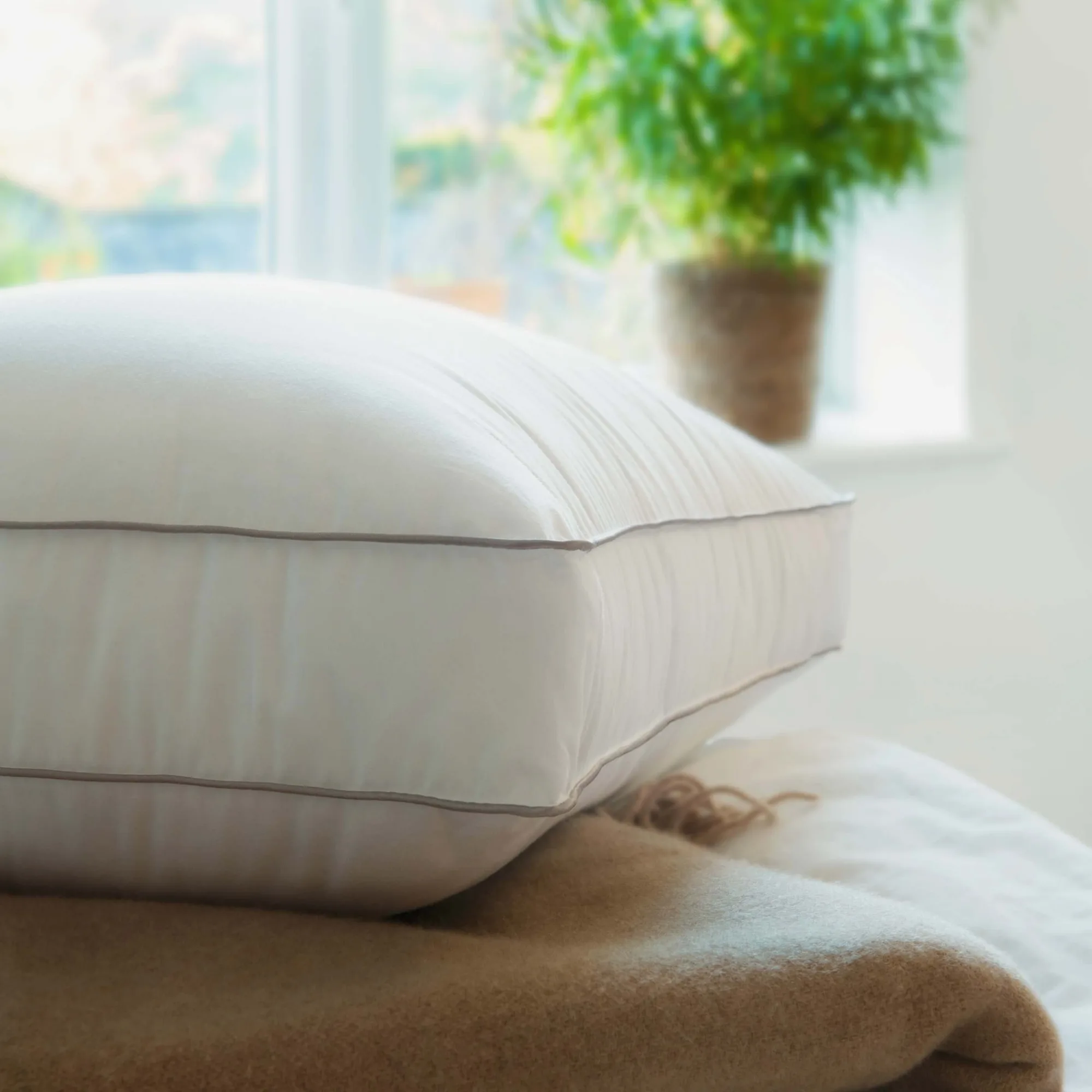 Goose Down vs. Duck Down Pillows: Which Luxury Fill Is Best for Your Sleep?