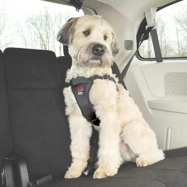 Easy Rider Car Harness for Dogs Large