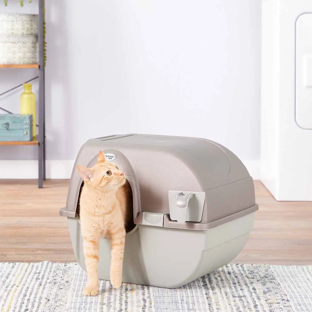 Self-Cleaning vs Traditional Litter Boxes: Which Is Better?